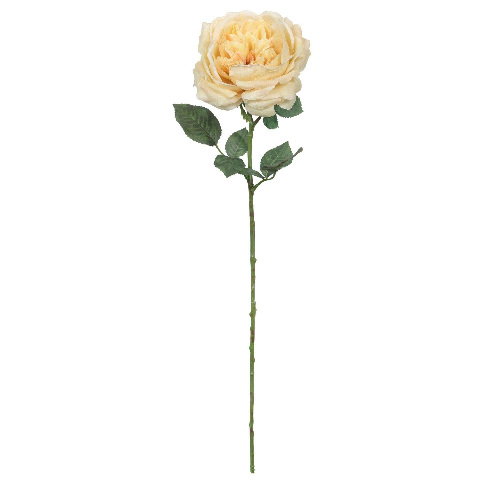 25.5" Yellow Rose Stem by Ashland®